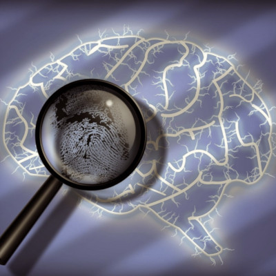 Psiquiatria Forense, Guilherme Navarro